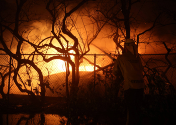 Evento de "Ainda Estou Aqui" para votantes do Oscar é cancelado após incêndios em Los Angeles