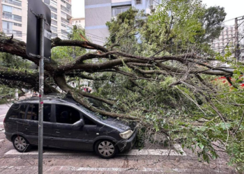 Árvore cai na rua da Consolação, em SP, atinge carro e fiação elétrica