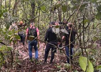 Vídeos mostram cemitério clandestino onde 11 corpos foram encontrados