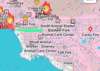 Estilista carioca relata impactos do incêndio em Los Angeles: 'É a natureza gritando'