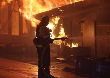As mudanças climáticas não são a causa dos incêndios florestais desastrosos