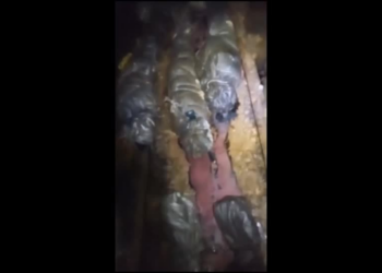 Operação resgata 118 homens que estavam presos em mina ilegal na África do Sul