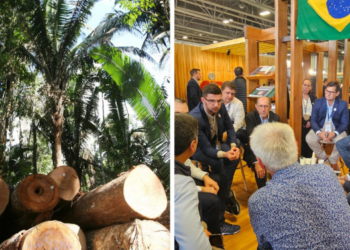 Mato Grosso contribui para mitigar aquecimento global por meio do manejo florestal