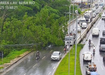 Queda de árvore e de poste bloqueia a Fernando Corrêa e deixa milhares sem energia
