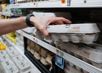 Por que o preço dos ovos nos EUA disparou e até os supermercados estão racionando suas compras
