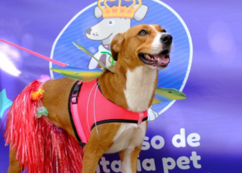 Fim de semana tem bailinho de Carnaval pet e Folia da Adoção em São Paulo