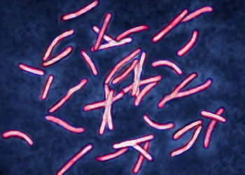 IA soluciona em dois dias questão-chave sobre superbactérias que cientistas levaram anos para desvendar