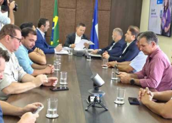 Cipem discute avanços para o setor florestal com governador