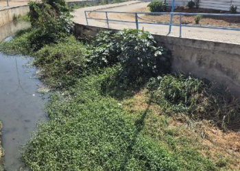 Pai de Motta é condenado por falhas em saneamento e decoração natalina