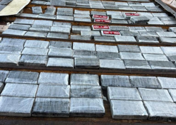 Polícia Penal realiza operação com cães do SOE e apreende 26 celulares no Centro de Ressocialização de Várzea Grande