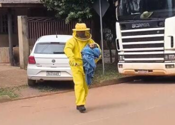 Mulher e animais são atacados por enxame de abelhas