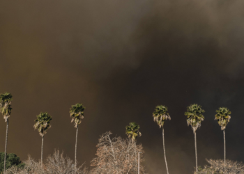 Não será teleton, diz CEO do Grammy, que busca fundos após fogo em Los Angeles