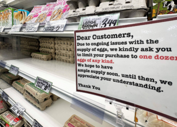 Preço dos ovos dispara 15% em um mês nos EUA e supermercados veem prateleiras vazias