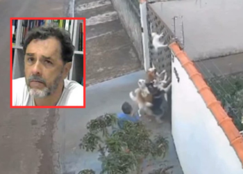 Homem que deixou cachorros matarem gato paga fiança e é solto