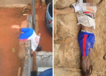 VÍDEO – Ladrão despenca de muro ao invadir casa e é capturado por populares