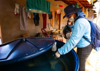 Em dois meses, MT supera total de mortes por chikungunya registradas em 2024