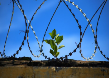 Religião “restauradora”: o papel da fé na reintegração dos presos