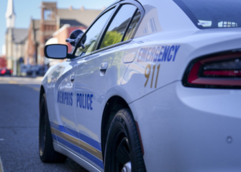 Pitbull dispara arma por acidente contra o próprio dono nos EUA