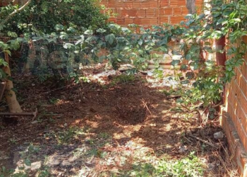 Fotos – Corpo de adolescente que teve bebê arrancado da barriga estava em cova rasa