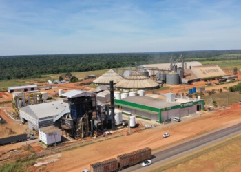 Grupo Safras pede recuperação judicial e é acusado de esquema para dar calote em produtores rurais