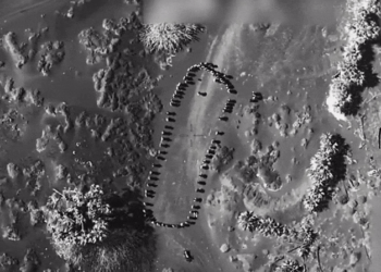 Trump compartilha vídeo em que ironiza ataque dos EUA contra Houthis: 'Oops'