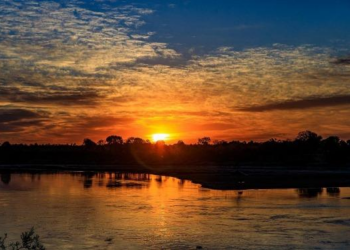 Defeso da Piracema em MT será entre 1º de outubro deste ano até 31 de janeiro de 2026