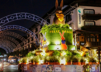 Crise em alto-mar: cruzeiros com problemas no brasil e no mundo