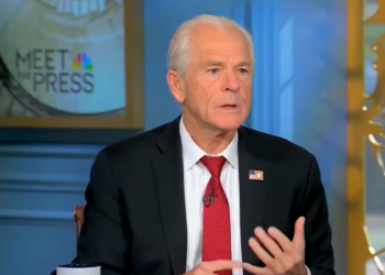 Peter Navarro, xingado de 'imbecil' por Elon Musk, minimiza: 'Já fui chamado de coisas piores'