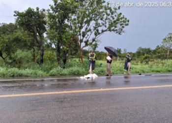 Homem é encontrado morto em acostamento de rodovia
