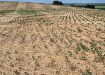 Governo declara emergência hídrica diante de estiagem prolongada