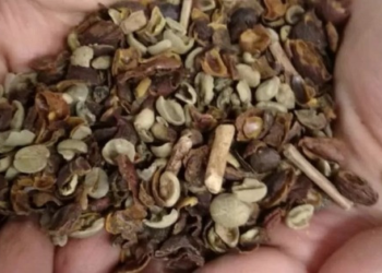 Governo recolhe três marcas de café torrado impróprios para consumo