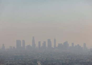 Planeta tem 80% de chances de bater novo recorde de calor nos próximos 5 anos, diz ONU