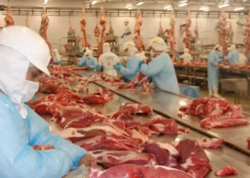 CNA pede investigação contra boicote francês à carne do Brasil