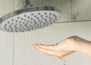 Governo de MT “decreta” que banho é facultativo