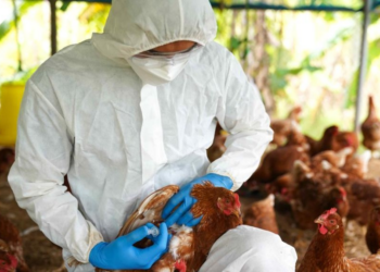 Mais um foco da doença é confirmado no RS; casos sobem para 170 no Brasil