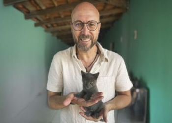 Beto propõe cassar CNH de quem abandonar animais em vias públicas