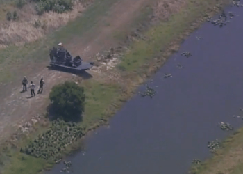 Jacaré mata mulher após ser atropelado por canoa nos EUA