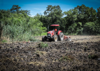 Governo fortalece pequenos agricultores e incentiva produção no campo
