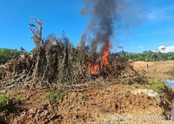 Governo destrói acampamentos de garimpo em terra indígena no Pará