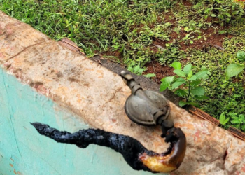 Sentiu cheio de gás? Bombeiros orientam sobre cuidados em caso de vazamento