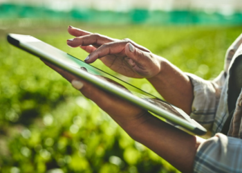 Crédito atinge R$ 298,6 bilhões e agro cobra mais previsibilidade e recursos