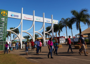 AgroBrasília 2025 aposta em inovação e expansão de negócios