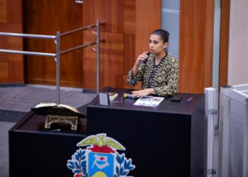 Sete secretarias estaduais apresentam metas físicas do 2º semestre de 2024 na ALMT