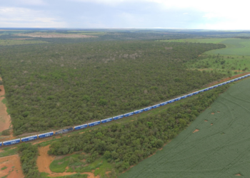 Saiba como é formado cada tipo de trem para levar cargas no país