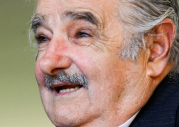 O que é a gripe aviária?