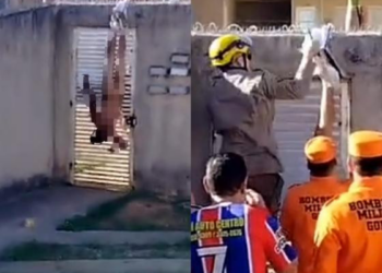 Homem fica pendurado em muro ao tentar invadir casa da ex