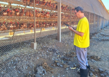 Escolas da Rede Estadual promovem atividades comunitárias e esportivas aos sábados