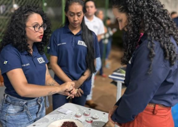Corpo de Bombeiros socorre condutor de ônibus preso às ferragens e quatro vítimas de acidente