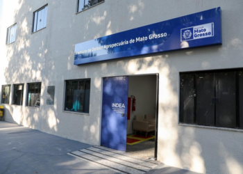 Exame descarta suspeita de gripe aviária em Mato Grosso