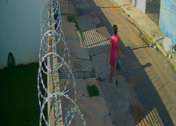 Vídeo mostra mulher trans carregando gato morto dentro de sacola